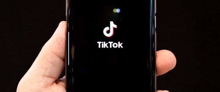 Our Favorite Furry Friends to Follow on TikTok
