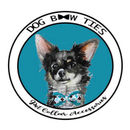 Dog Bow Ties Lakeland Florida