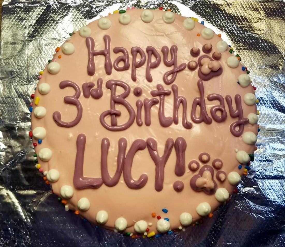 Personalized Donut-Shaped Dog Cake