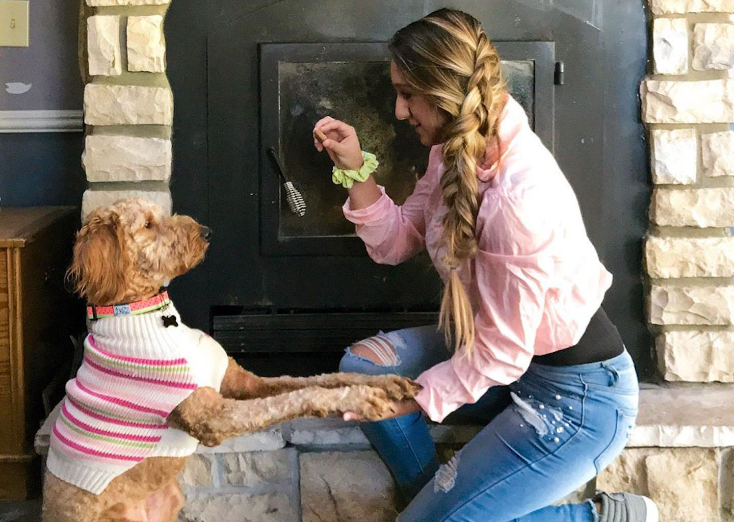 6 Tips To Make Training Easier For You And Your Dog By Pet Releaf