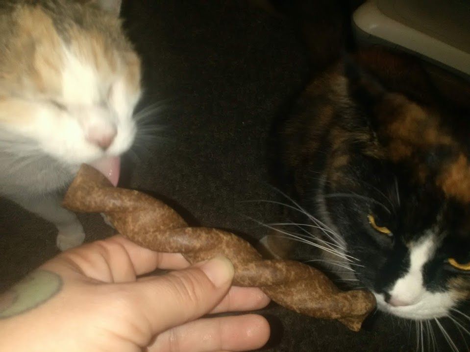 Twizzies not just for dogs