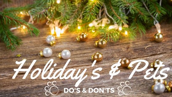 The Do’s and Don’ts for the Holidays!