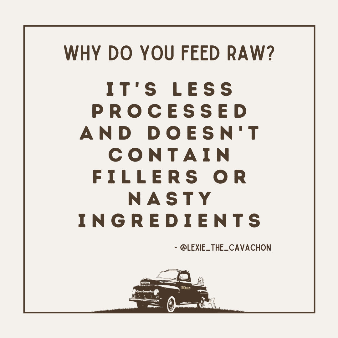 National RAW Feeding Week Apr 1-7  Celebrate!