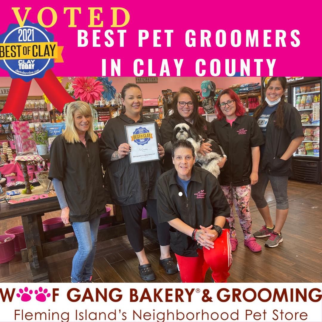 Woof Gang Bakery Fleming Island Named Best Pet Groomer In Clay County