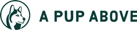 A Pup Above Sarasota Florida