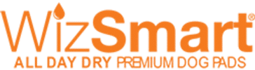 WizSmart Leesburg Florida