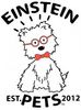 Einstein Pets Treats Leesburg Florida