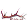 CST Antlers LLC Sarasota Florida