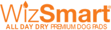 WizSmart Leesburg Florida