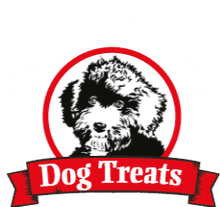 Buy Charlee Bear in Parker, CO from Essential Pet LLC Charlee Bear Parker Colorado