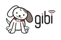 Gibi Technologies Salt Lake City Utah