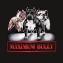 Maximum Bully Salt Lake City Utah