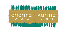 Dharma Dog Karma Cat Tampa Florida