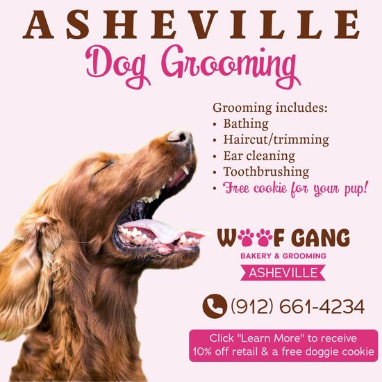 Pet Food Deals Cat & Dog Food Coupons In Asheville
