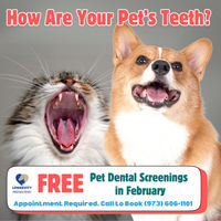 Image of Free Pet Dental Screening Promotion in Whippany