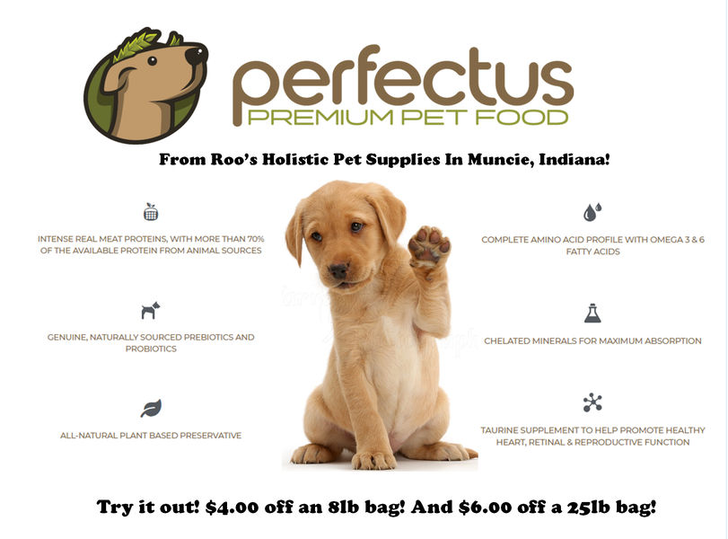 holistic pet supplies