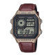 Casio Collection AE-1200WHL-5AVEF Horloge