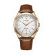 Citizen AW1753-10A Core Horloge Citizen AW1753-10A Core Horloge