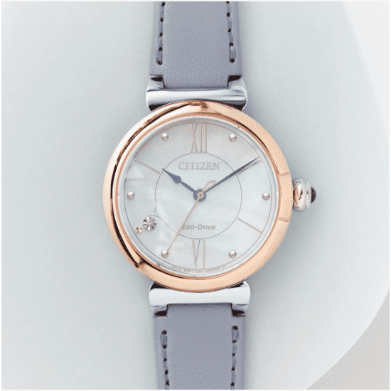 Citizen EM1074-15D Horloge Citizen EM1074-15D Horloge