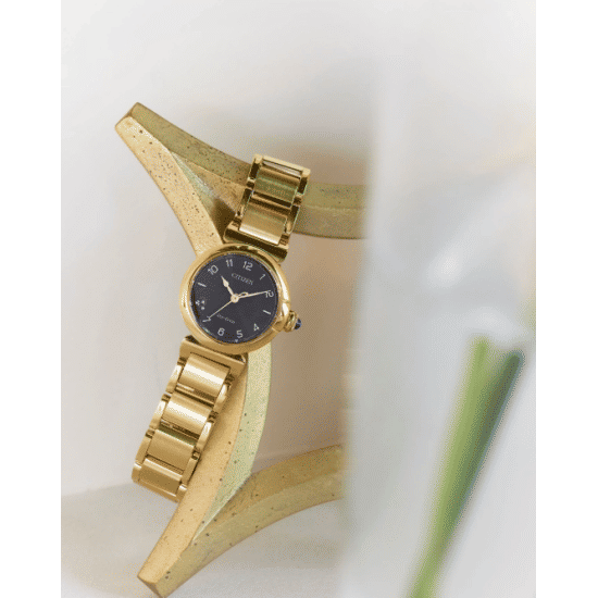 Citizen EM1132-88H Mae Horloge Citizen EM1132-88H Mae Horloge