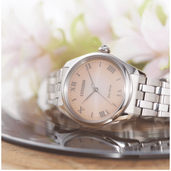Citizen EM1140-80X Horloge Citizen EM1140-80X Horloge