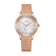 Citizen EM1153-88A Horloge Citizen EM1153-88A Horloge