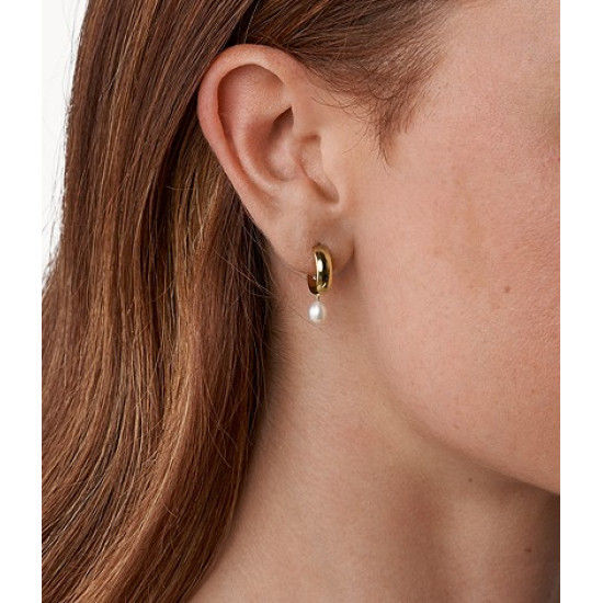 Fossil JF03805710 Tiny Pearls Fossil JF03805710 Tiny Pearls