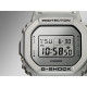 G-Shock DW-5600FF-8ER Forgotton Future