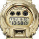 G-Shock GM-6900SG-9ER See Thru Horloge