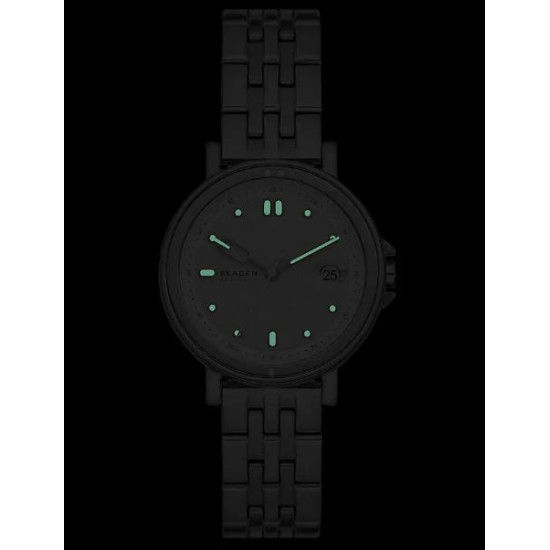 Skagen SKW3137 Horloge