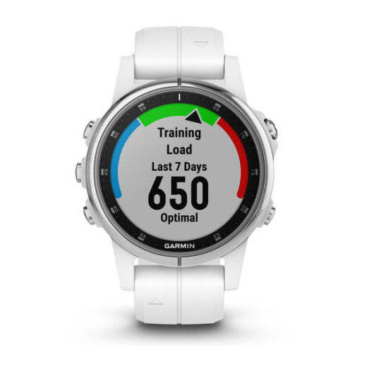 Garmin Fenix 5 Smartwatch 010-01987-01 Wit 42mm