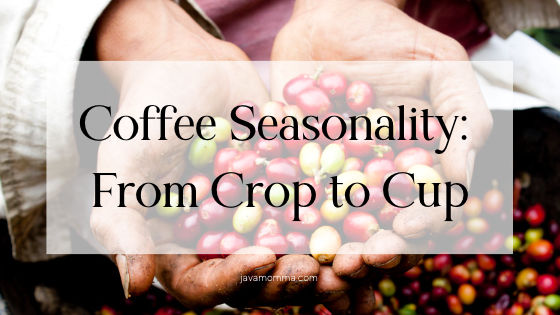 From Crop to Cup: Embracing Coffee Seasonality