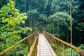 BEST TYPES OF CORPORATE OFFSITE LOCATIONS NEAR BANGALORE