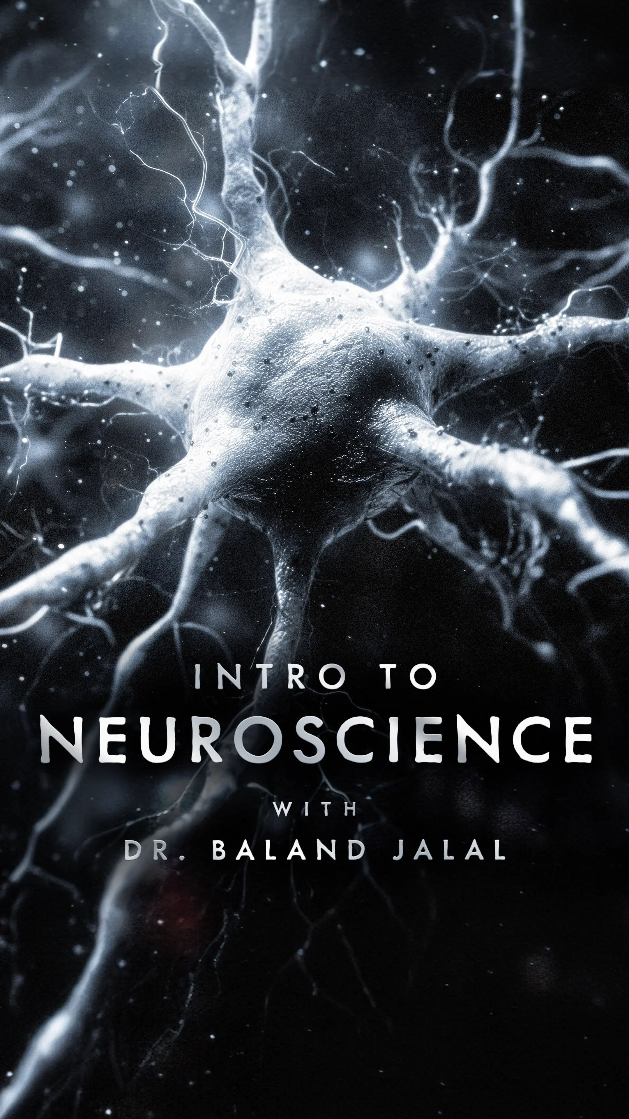 Intro to Neuroscience