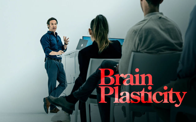 Maps in the Brain