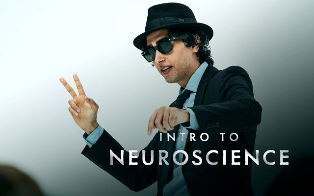 Brain and Self
