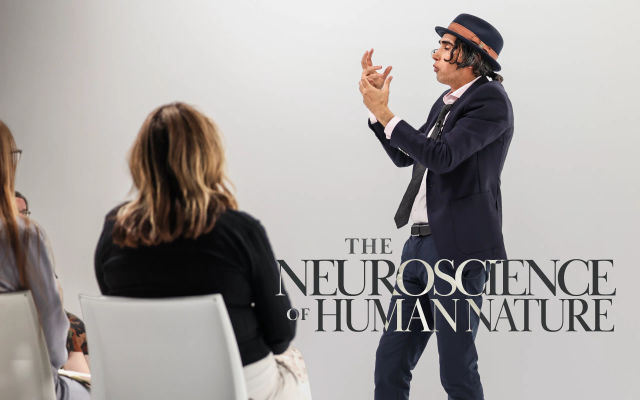 Beauty and the Brain