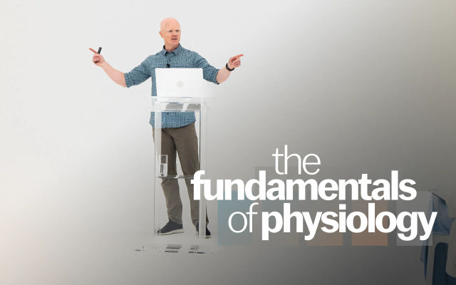 Adipose Physiology