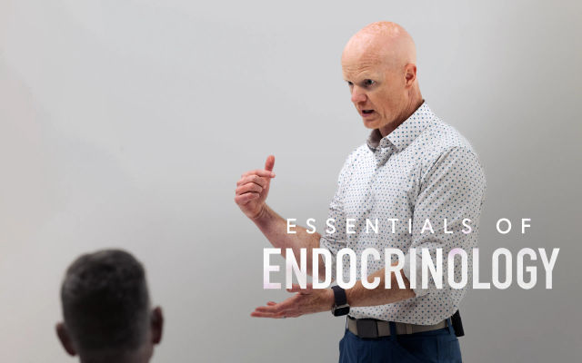 The Adrenal Axis