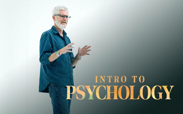 Mental Models and Sense-Making