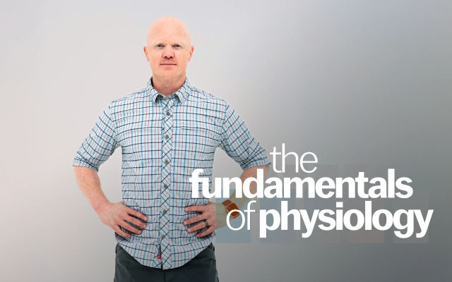 Endocrine Physiology