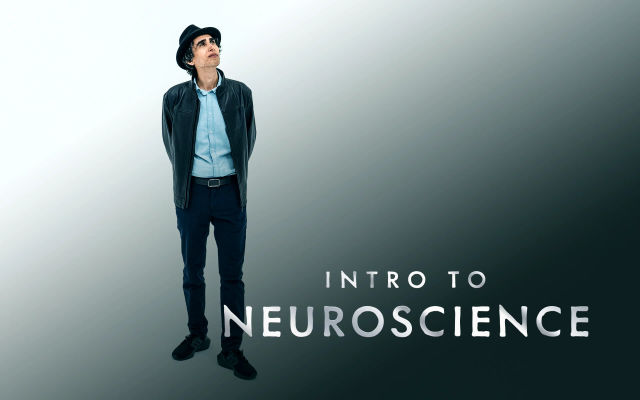 Principles of Neuroplasticity
