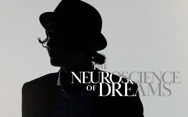 The Creative Brain