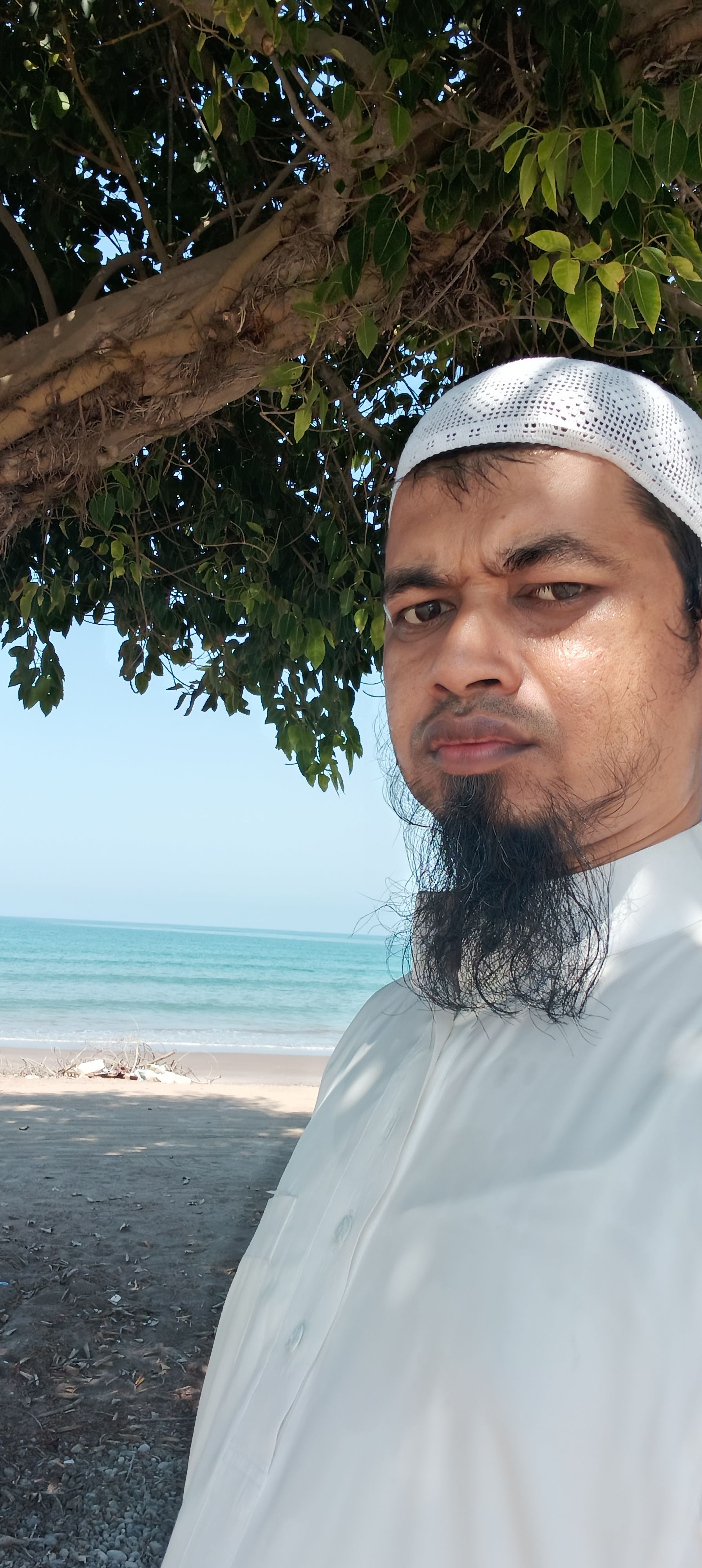 হাফেজ কামাল উদ্দিন