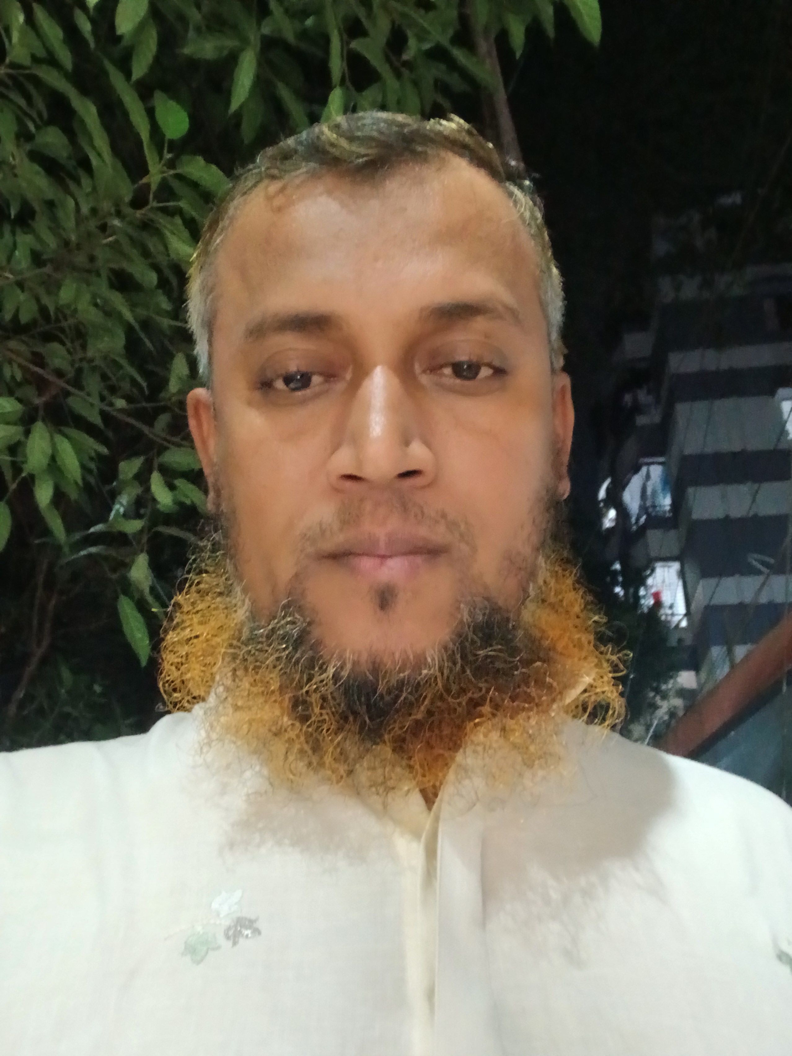 মো:  জাফর আলম