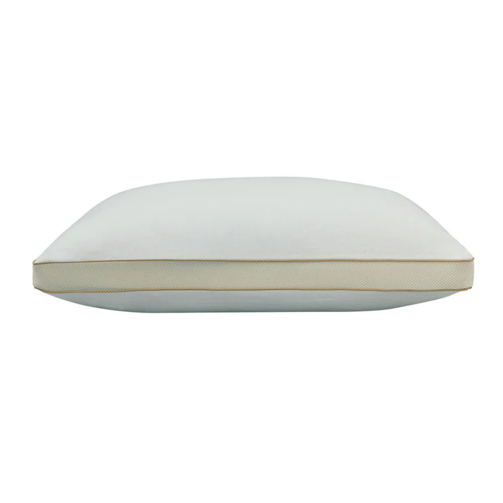 Picture of HealthGuard | Organic Bamboo Premium Queen Pillow
