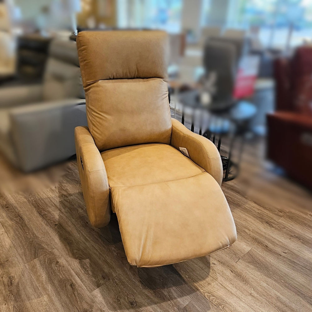 Picture of Decor-Rest | 2605 Power Swivel Recliner