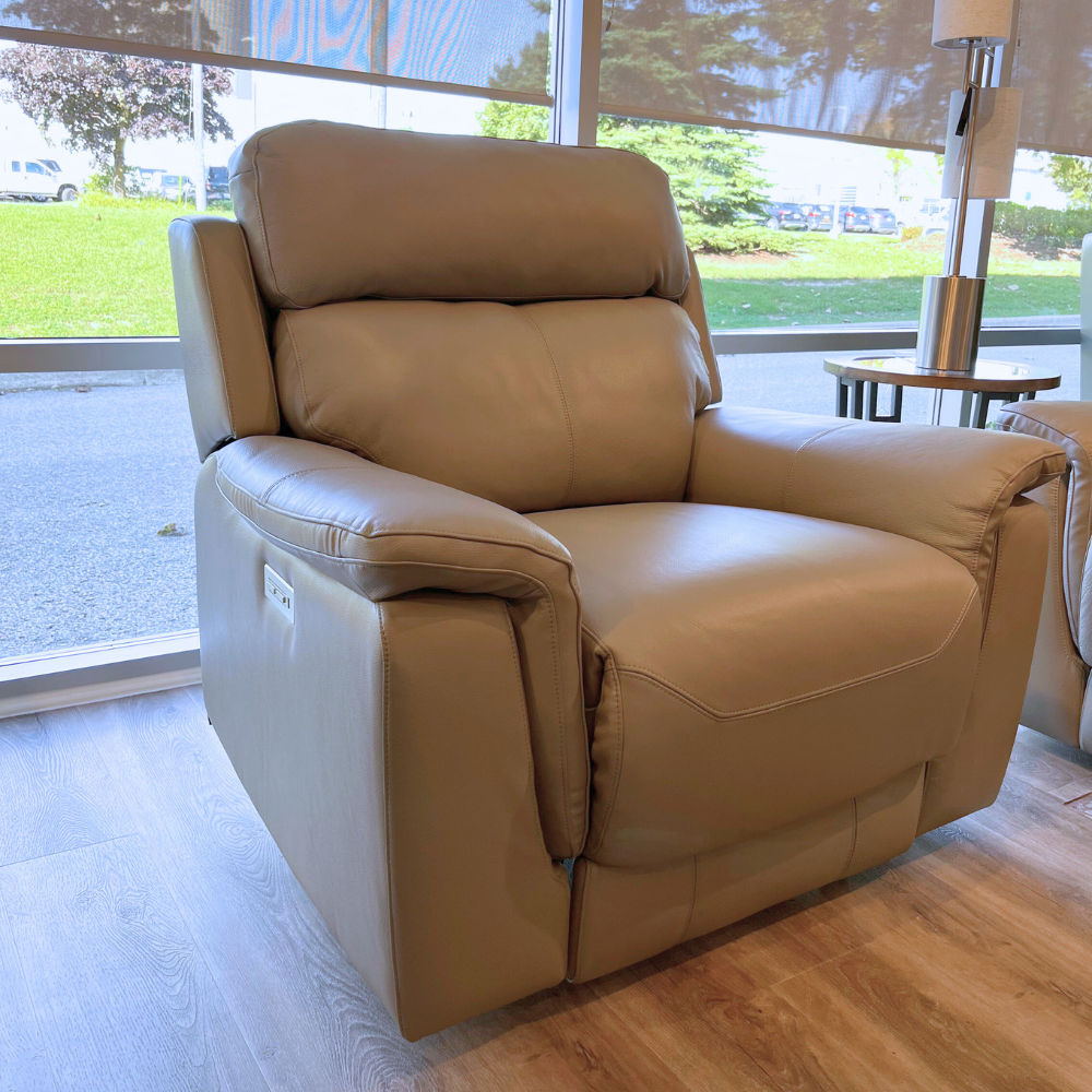 Picture of Palliser | Henry Power Recliner