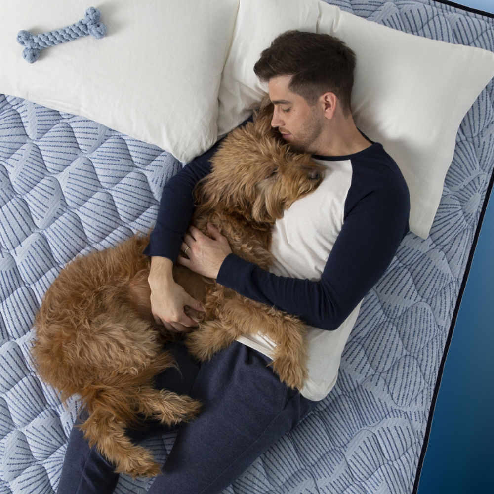 Picture of Serta | Perfect Sleeper Queen Mattress Stardom Hybrid