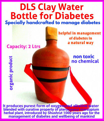Diabetes Clay Bottle(#1149)-gallery-0